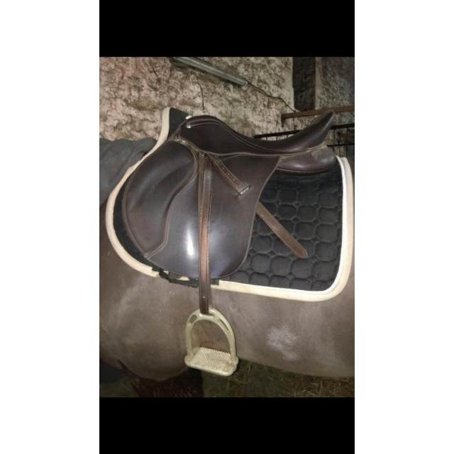 Selle wintec