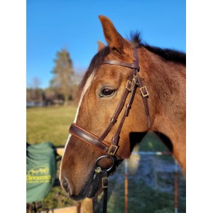 Filet sellerie du Querçus