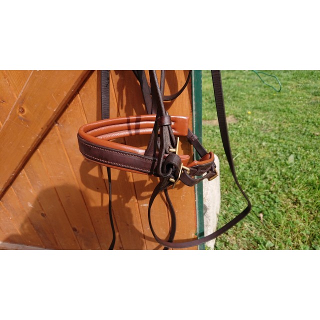 Filet sellerie du Querçus