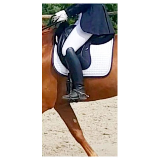 Bottes dressage pétrie