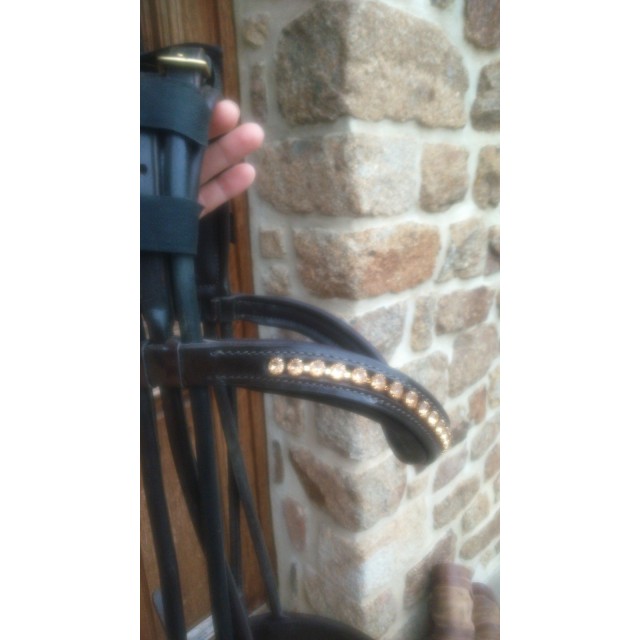 Bridon Horseline marron cuir rond