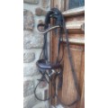 Bridon Horseline marron cuir rond