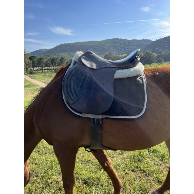 Selle en cuir