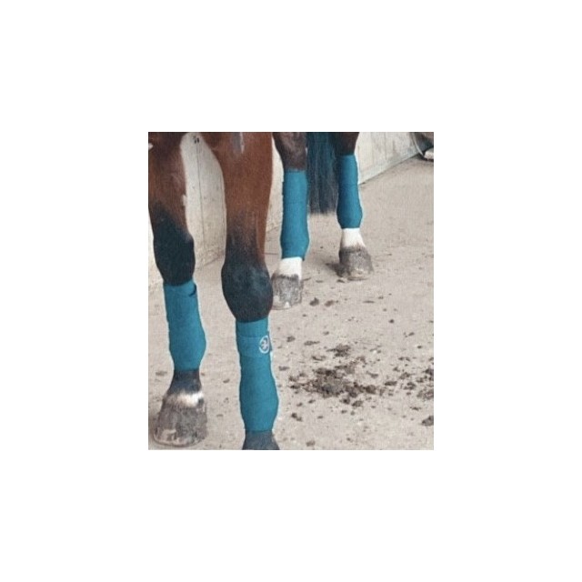 Bande de polo