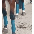 Bande de polo