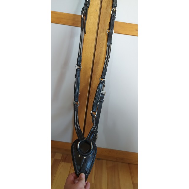 Collier de chasse cob