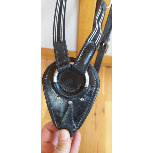 Collier de chasse cob