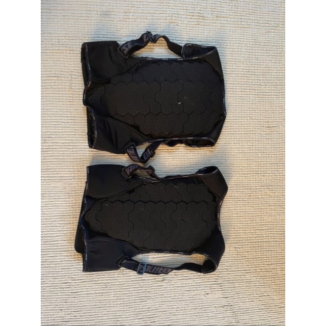 2 dorsales dainese