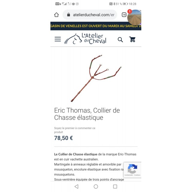 Collier de chasse et martingale Eric Thomas