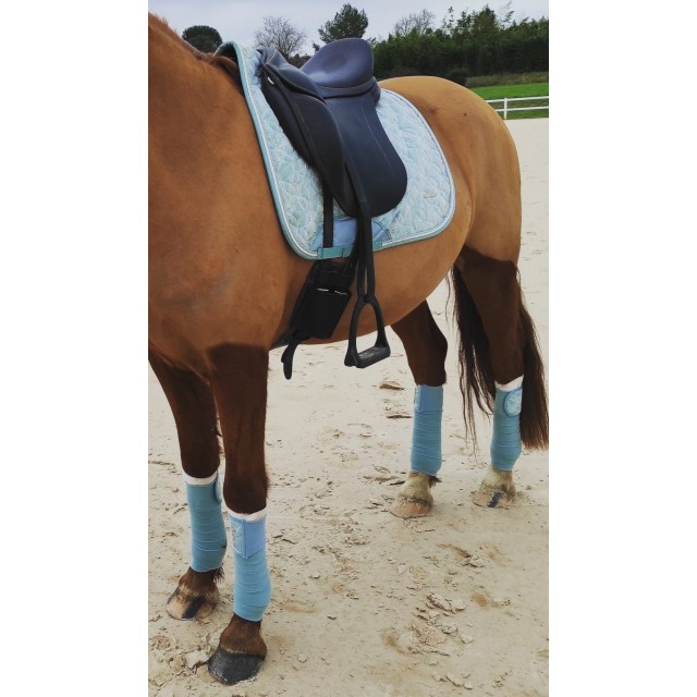 Ensemble tapis et bande