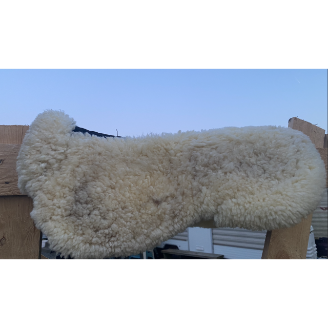 AMORTISEUR TIME RIDER