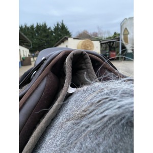 Selle Éric Thomas mixte Advance