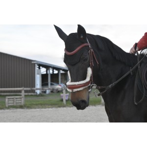 Bridon Chester WOW STORE