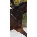 Martingale cwd