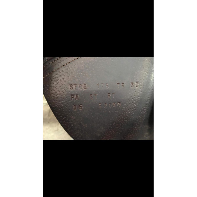 Selle cwd