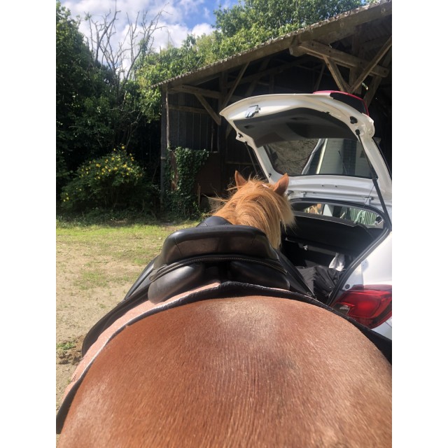 Selle Mixte Eric Thomas "Kevin" 17"