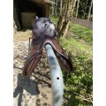 Selle Childeric mixte