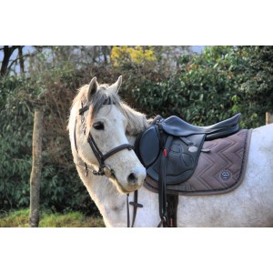 Selle Time Rider Platinium