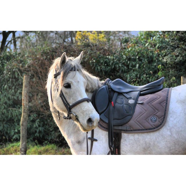 Selle Time Rider Platinium