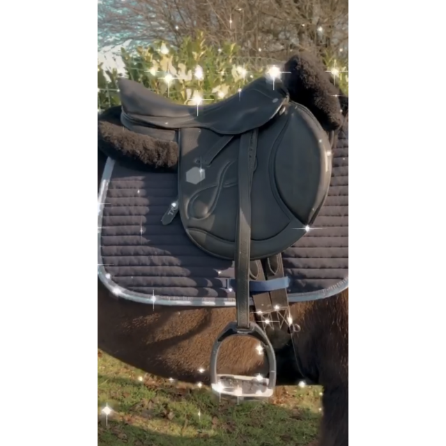 Selle Time Rider Platinium