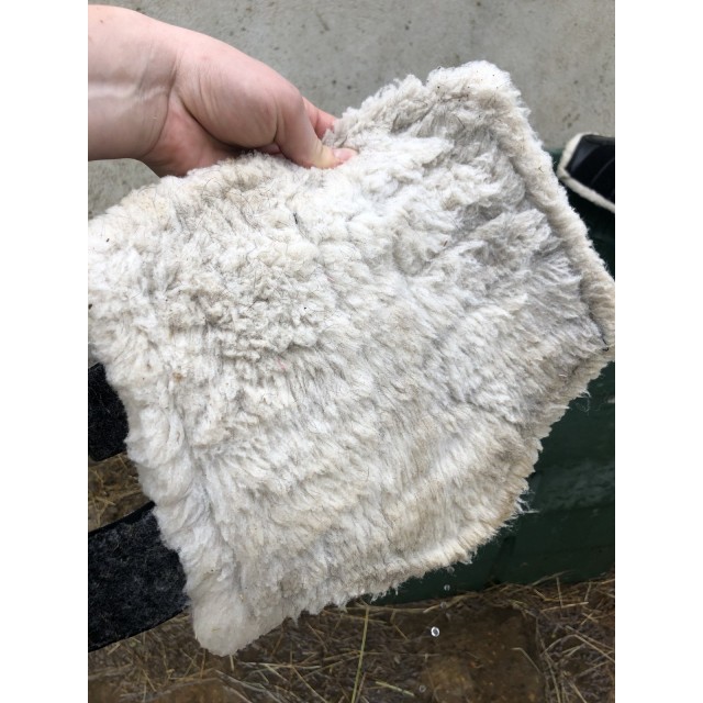 Guetres dress harrys horse noires