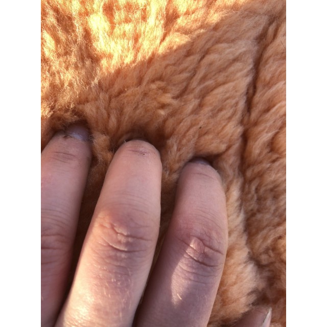 Amortisseur cso pêche