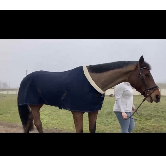 Couverture séchante mesh equitheme