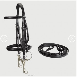 Bride bruno delgrange