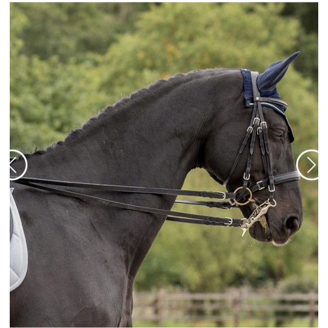 Bride bruno delgrange