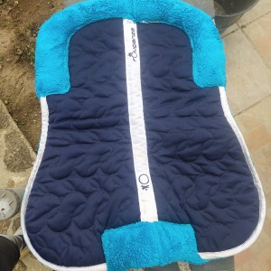 Amortisseur Fouganza