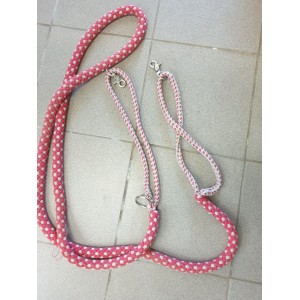 Enrênement taille cheval