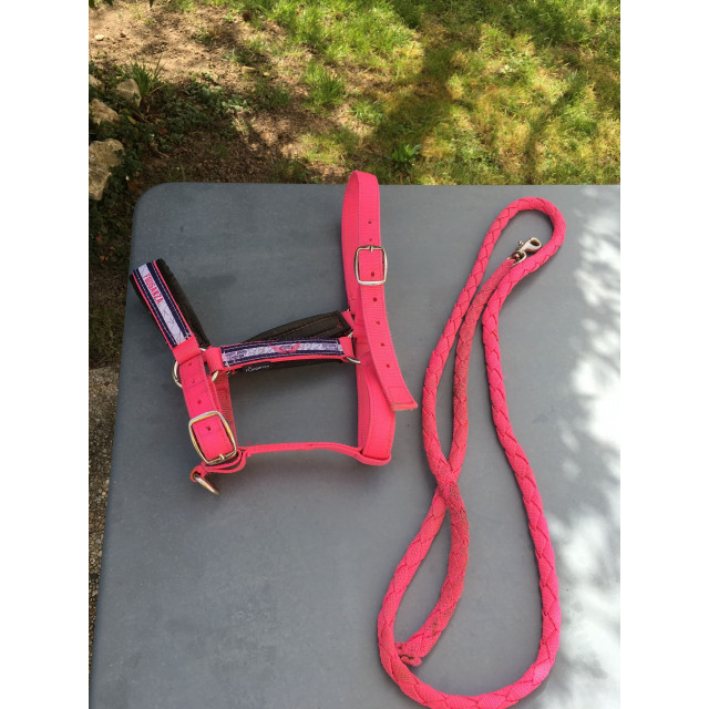 licol + longe rose fluo