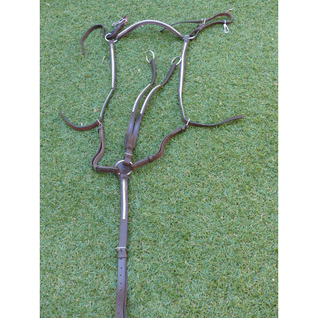 collier de chasse