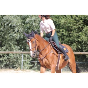 Collier de chasse + martincgale 5 points devoucoux havane *