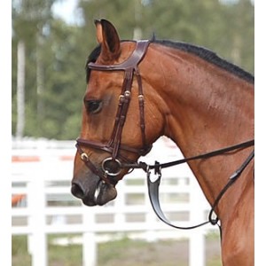 Filet thérapeutique Dy'on noir cheval