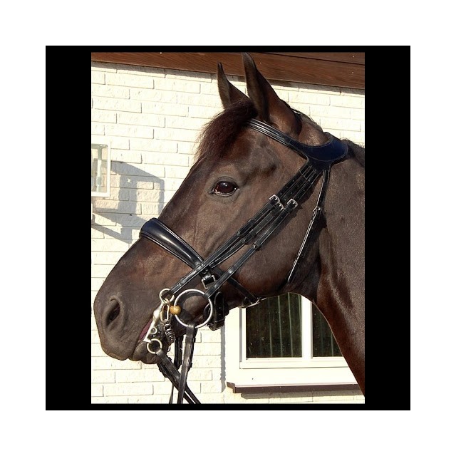 Filet thérapeutique Dy'on noir cheval