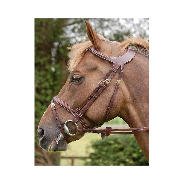 Filet thérapeutique Dy'on noir cheval