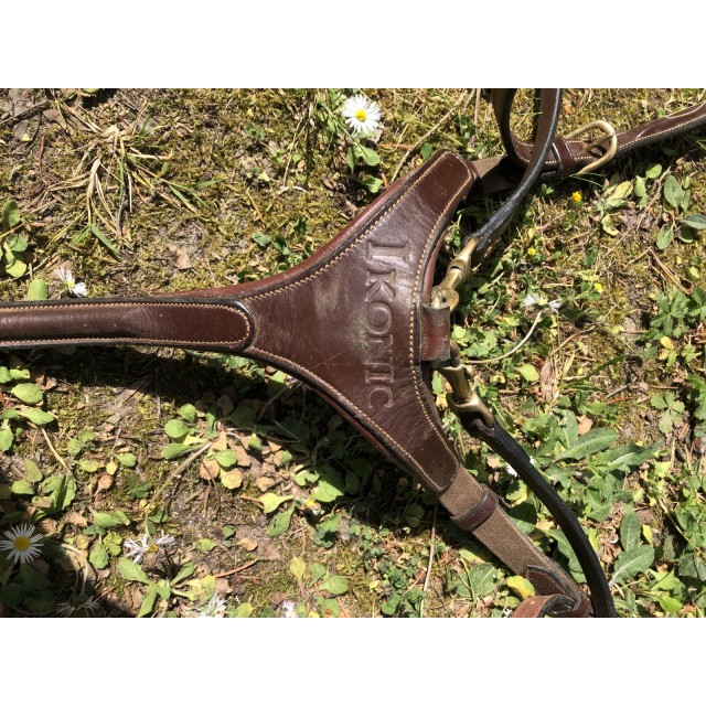 Collier de chasse avec Martin Ikonic