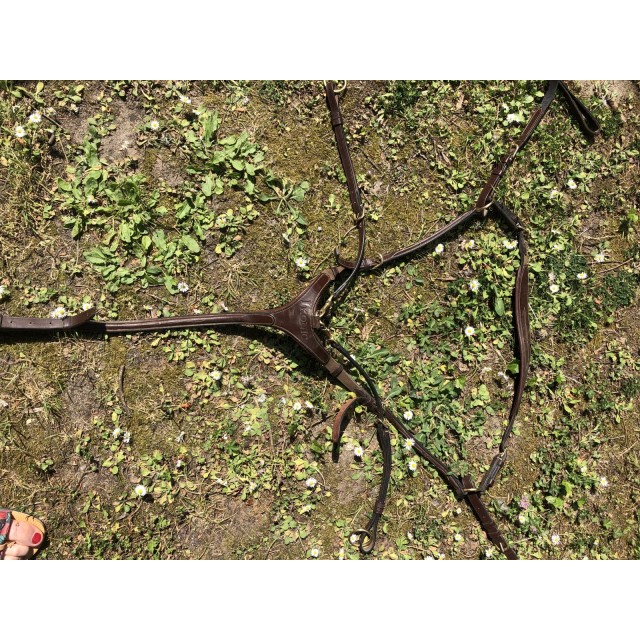 Collier de chasse avec Martin Ikonic