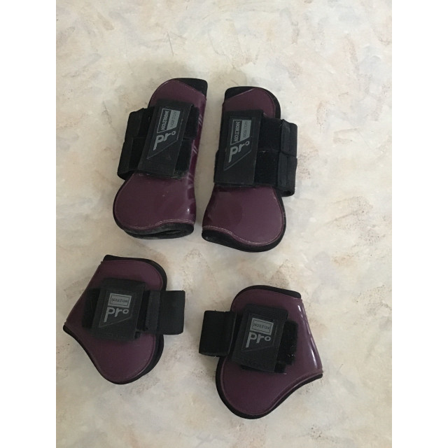 Ensemble guetres et proteges boulets norton pro