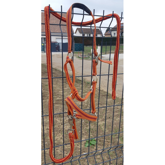 Licol rouge + orange et longe associée taille FULL