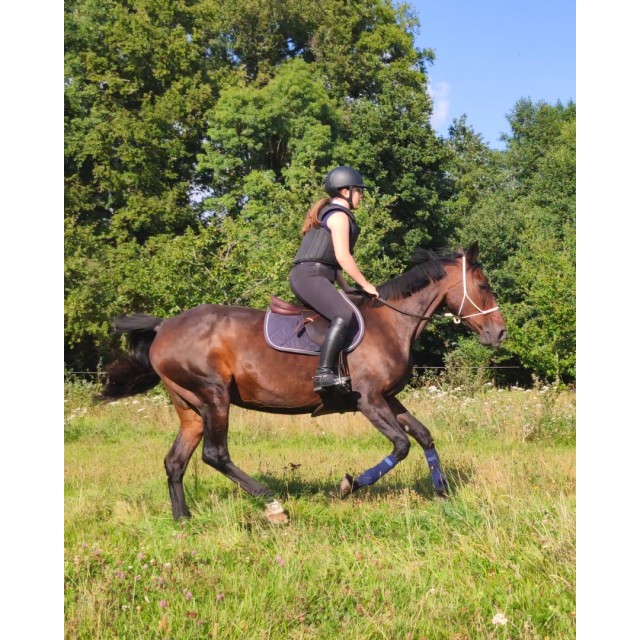 Ensemble tapis bonnet bandes bleu marine