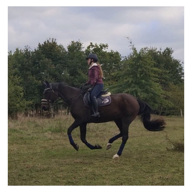 Ensemble tapis bonnet bandes bleu marine