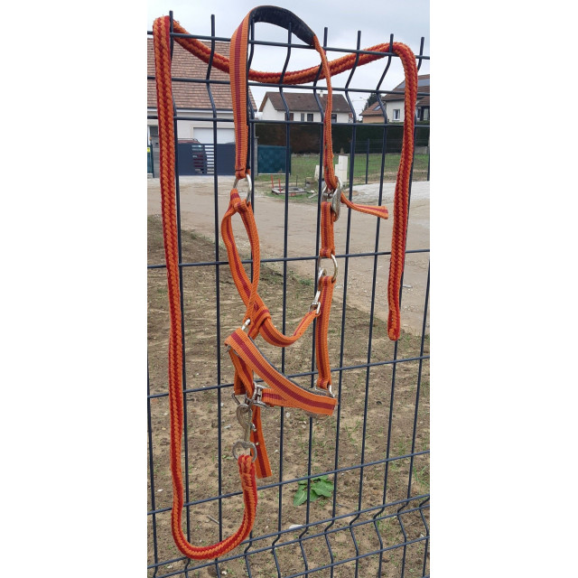 Licol rouge + orange et longe associée taille FULL
