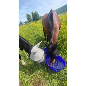 Bonnet anti mouche kentucky