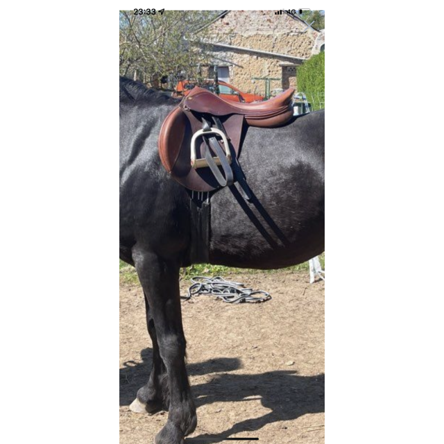 Selle 17,5