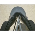 Selle Dressage Portugaise