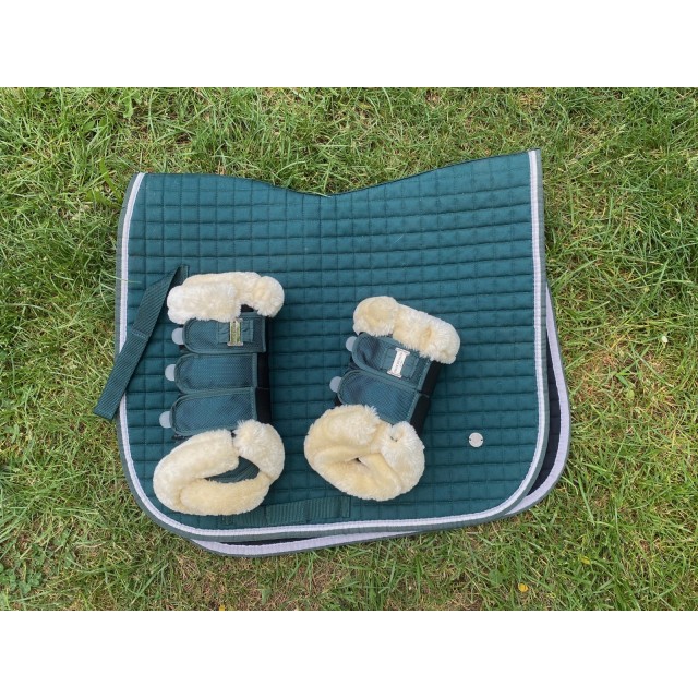 Ensemble guêtres + tapis dressage