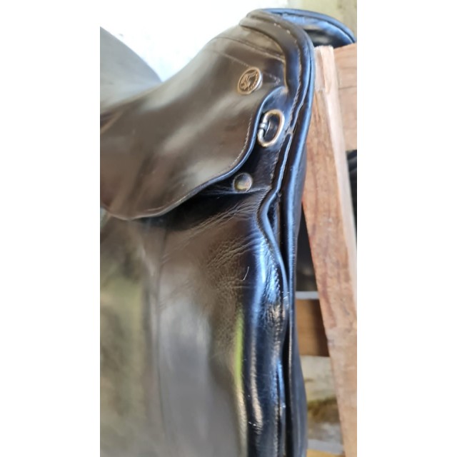 Selles dressage