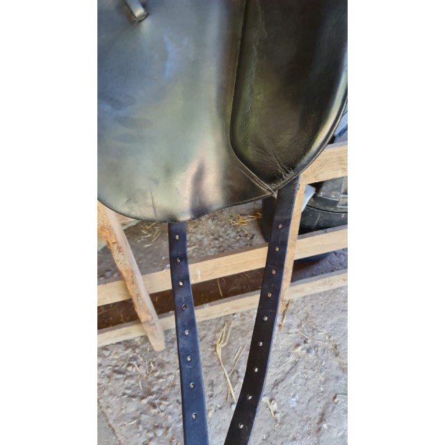 Selles dressage